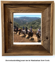 horseback riding near me in Manhattan, New York